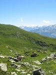 /Rocher/2007/Images/489/mini-Photo FRe 004Icon.jpg